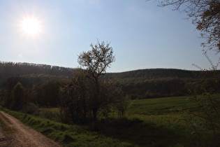 Springe, Ortsrand, Blick nach Westen