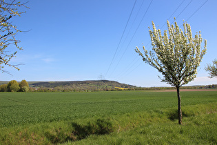 zwischen Salzderhelden und Wellersen, Blick zum Altendorfer Berg