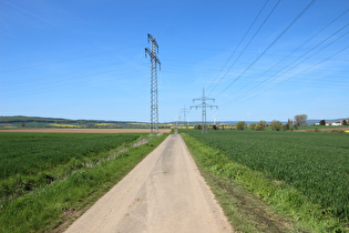 Agrarsteppe zwischen Salzderhelden und Wellersen, und Blick nach Westen