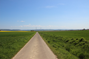 zwischen Salzderhelden und Wellersen, Blick Richtung Harz