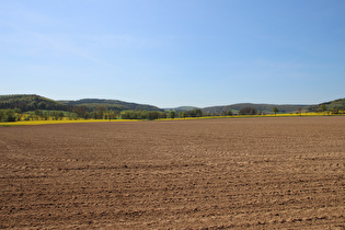 zwischen Wellersen und Hoppensen, Blick nach Süden