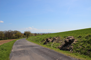 zwischen Krimmensen und Dassel, Blick Richtung Harz