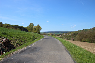 zwischen Krimmensen und Dassel, Blick Richtung Solling