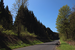 Erholungsheimstraße, unterer Bereich, Blick bergauf