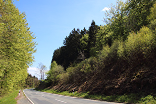 Erholungsheimstraße, unterer Bereich, Blick bergab