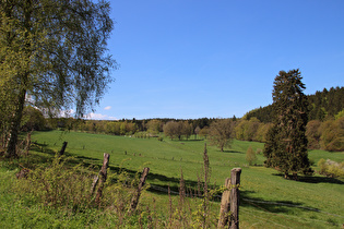 die Seutebornwiese mit der Bremke