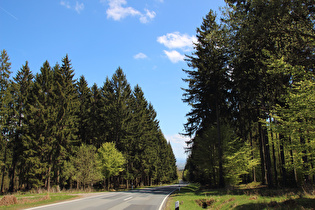 Blick über die Erholungsheimstraße nach Osten