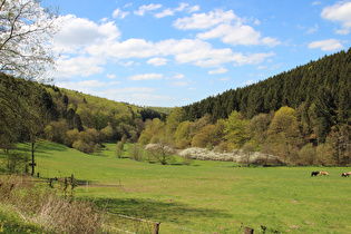 Rumohrtal, Blick nach Norden …