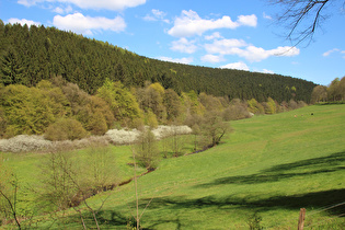 … und Blick nach Südosten