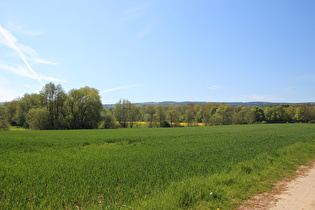 westlich von Wennigsen, Blick nach Südwesten