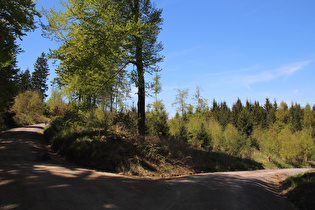 unterhalb der Hirschköpfe, Blick nach Norden