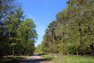 Blick vom Höfeler über den Kammweg nach Nordwesten