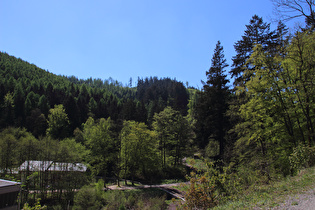 Blick über den Bahnhof Steinerne Renne nach Südwesten