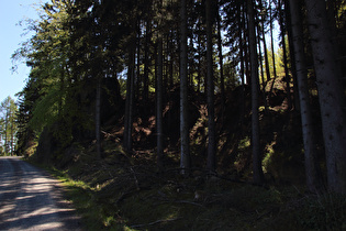 Weg oberhalb der Steinernen Renne, Blick nach Süden