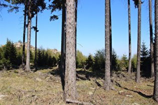 die Hohensteinklippen