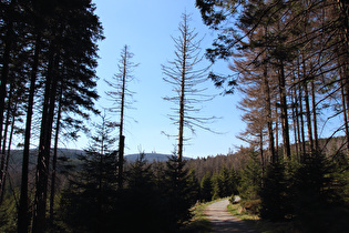 Glashüttenweg, Blick zum Brocken