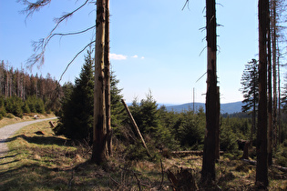 etwas weiter oben, Blick nach Süden