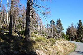 Brockenbett, Blick nach Süden, …