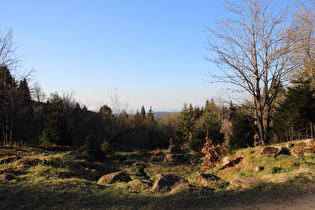 östlich unterhalb Torfhaus, Blick nach Nordosten