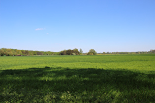 Leinemasch bei Letter, Blick nach Nordosten