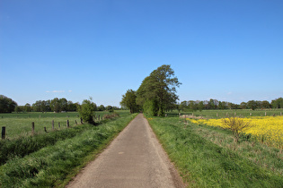 zwischen Osterwald UE und Otternhagen, Blick nach Norden