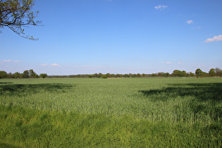 etwas weiter, Blick nach Nordosten