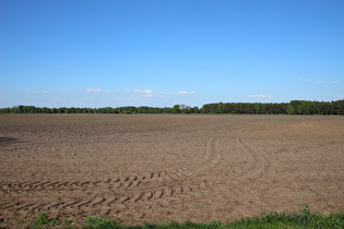 öde Agrarwüste