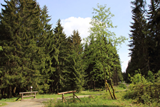 Brücke über den Dammgraben