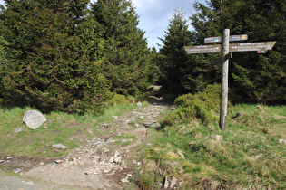 der total verblockte Weg zur Wolfswarte