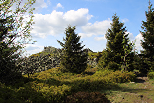 etwas weiter oben ein Blick zur Wolfswarte