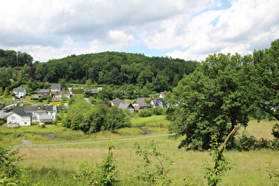 die Henne unterhalb des Staudamms