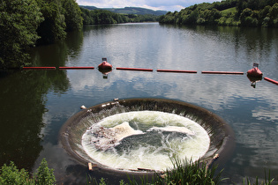 Blick vom Vordamm Mielinghausen über das Oberwasser …