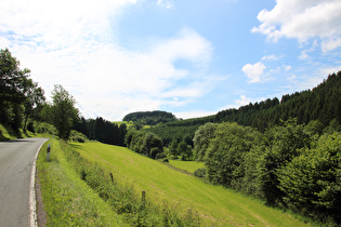 Hennetal zwischen Herhagen und Landenbeck, Blick talaufwärts