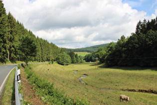 Hundemtal zwischen Würdinghausen und Oberhundem, Blick talabwärts …
