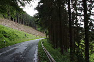 Abzweig nach Neuastenberg, Blick nach Norden …