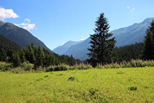 schwach ausgeprägte Talstufe zwischen Valzur und Außertschafein, Blick talabwärts …