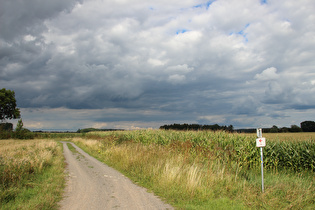 Leineradweg zwischen Wulfelade und Evensen, Blick nach Nordosten