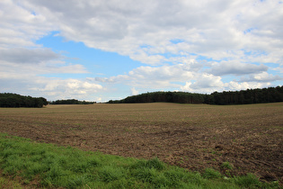 zwischen Rodenbostel und Oegenbostel, Blick auf die Brelinger Berge