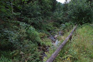 … und Blick flussabwärts