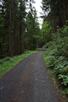 Steilstück, Blick bergauf