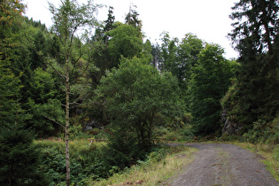 … und Blick bergauf auf die Kehre und einen Felsen