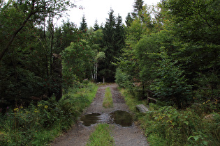 ein von der Großen Romke überspülter Weg