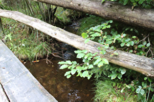 die Große Romke, Blick flussaufwärts …