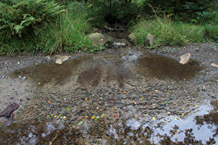 … und Blick flussabwärts