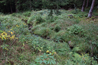 die Große Romke, Blick flussabwärts