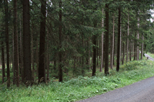 Blick von oben auf die Romkestraße