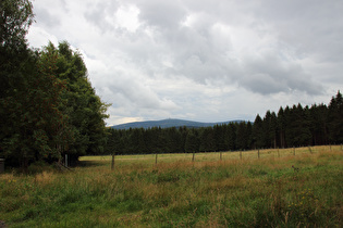 nahe der Baste-Siedlung, Blick zum Brocken