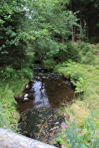 … und Blick flussabwärts