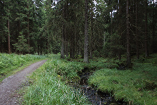 die Baste weiter unten, Blick flussabwärts