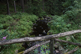 die Radau, Blick flussabwärts